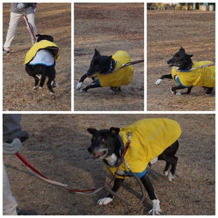 0f1095da 548b 4e43 a579 f9adbc851643 1765847106162