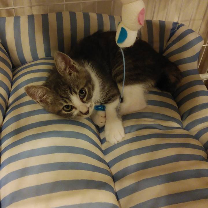 0f1115a1 9532 4d2f b677 0bb9d04b19c9 1561738672557