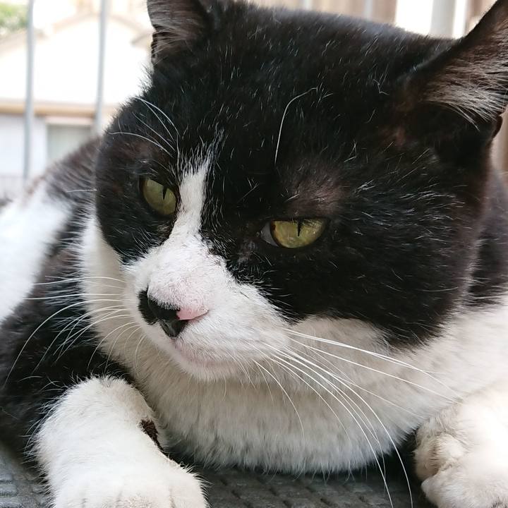 0f11c471 0bb6 4d7e bfad 3827f0723200 1557554398871