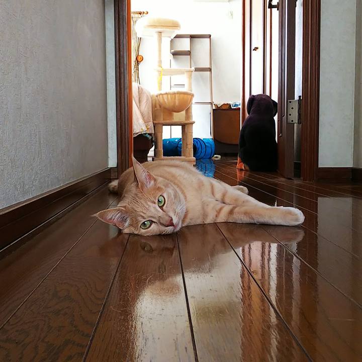 0f11c82a 024e 4680 b0f8 e0a754f6bdcd 1596326701280