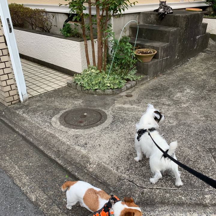 0f11f5c3 9bfa 4b0f ab1d 1697135fa2b9 1567068606739