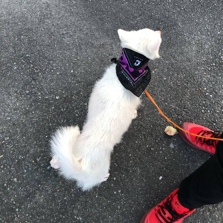 0f122113 a0d9 466d a353 8b1c49471cdf 1604139445774