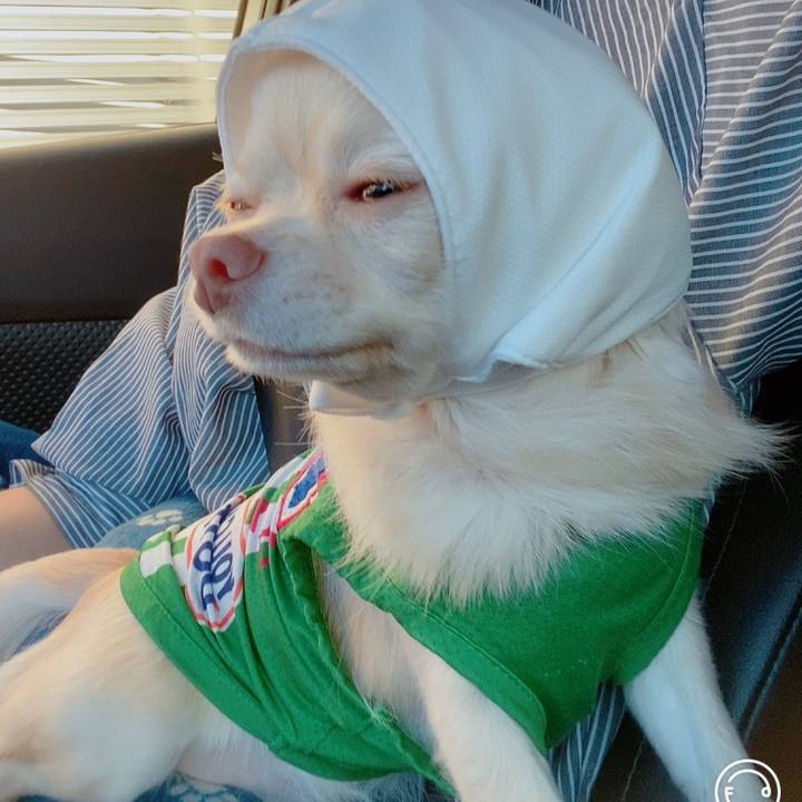 0f12271a f77a 49bb 8191 2e8620f6e9c8 1632136843060