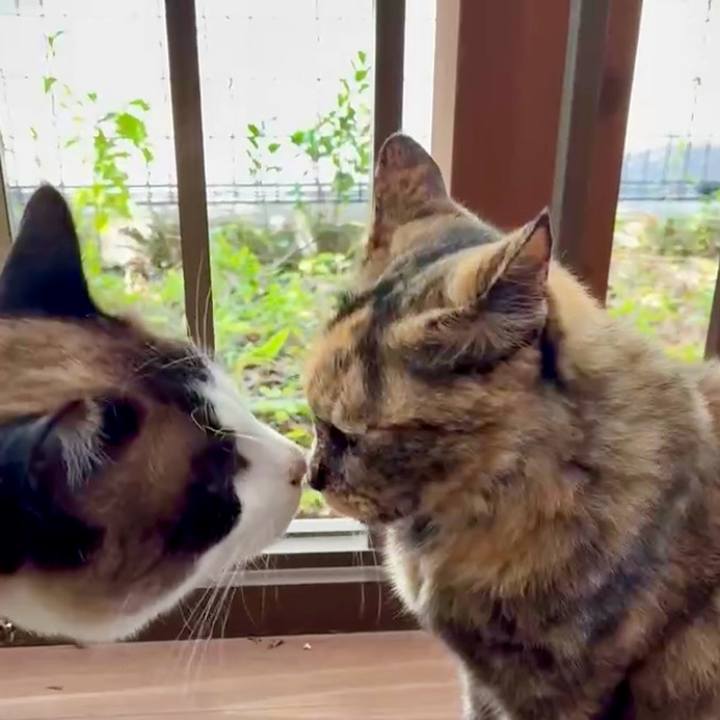 0f1257e4 12c0 4a12 aeb0 85103b6ac679 1750298715130