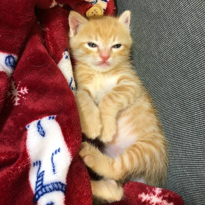 0f1285ce dc1d 40d2 8544 f7468f813725 1560055851683