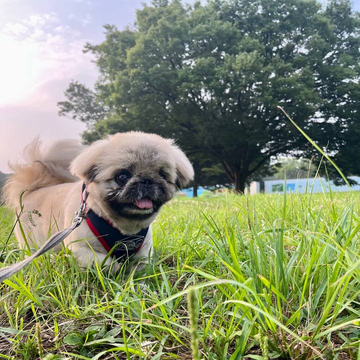 0f12edf6 25c1 4c94 81f8 e36a016866e8 1751838294201