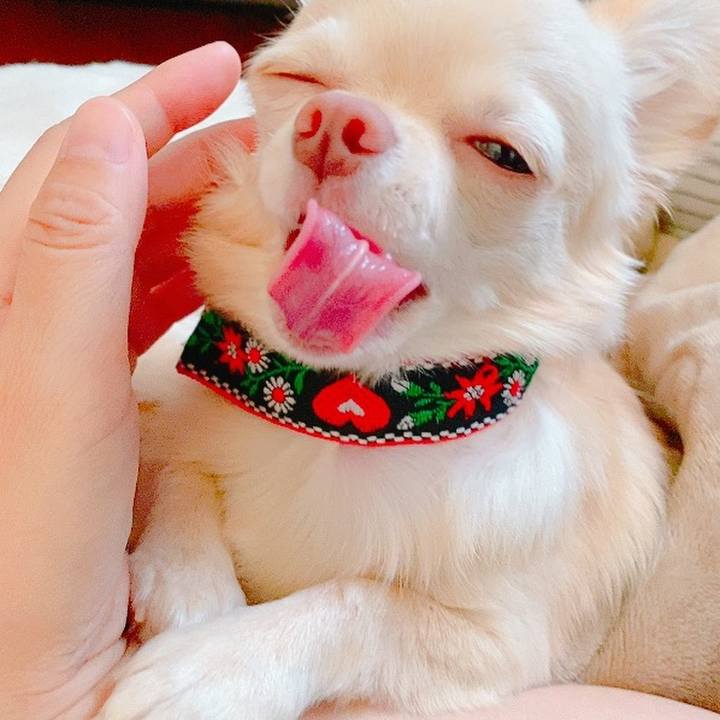 0f131d37 01f8 4116 ba86 4e286330dd40 1629950932681