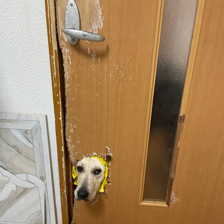 0f13b3f7 dec0 4c22 a975 3d438396b885 1633348714823