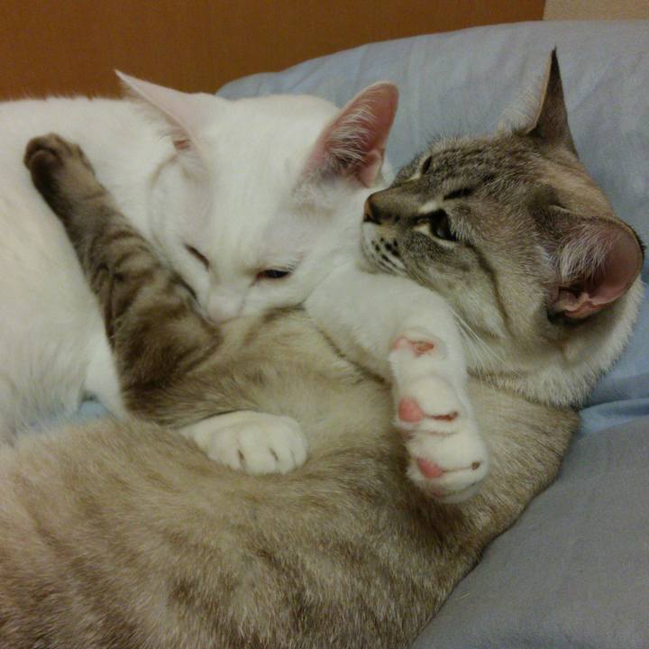 0f1407e7 96e1 4573 9731 8e1583d4991f 1513008882038