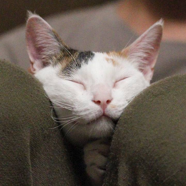 0f142ac7 036d 4114 b531 71a5708c8f48 1581550908482