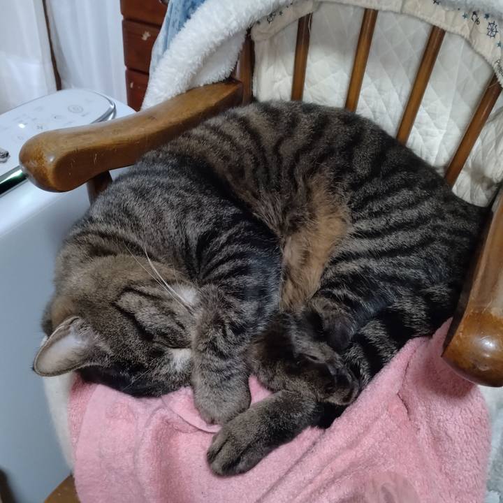 0f1462cf 8fd5 4f6d aa43 5da4bf21b3e3 1674436018759