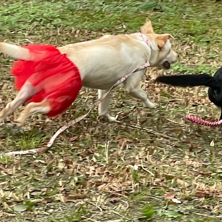 0f1482ee 5ca7 4392 8ef6 333e476d24c7 1639468503490