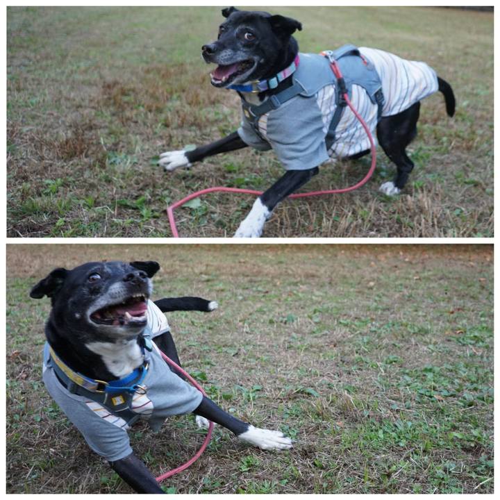 0f148b47 c475 4f89 add7 1fa787a3ddfd 1763166381997