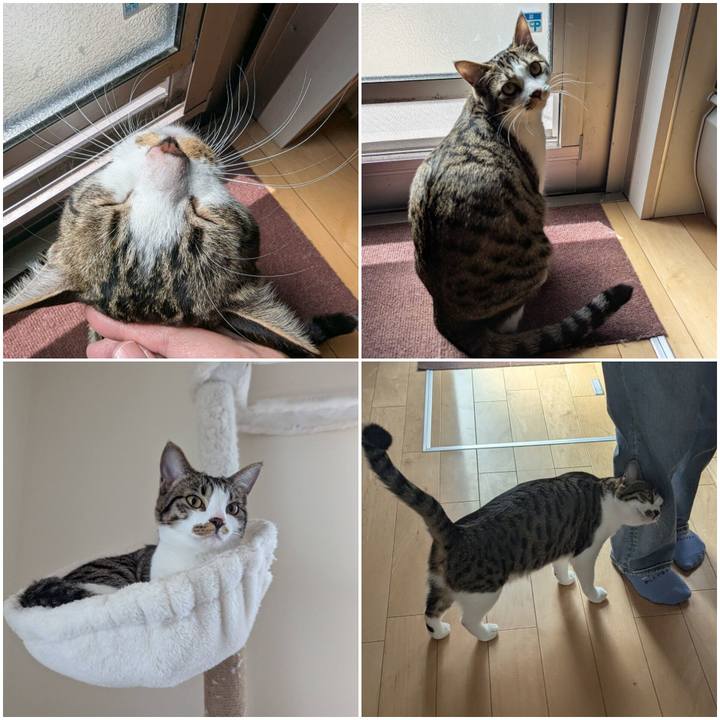 0f14994f f291 440c 93a8 9111d9f61ba5 1743053990054