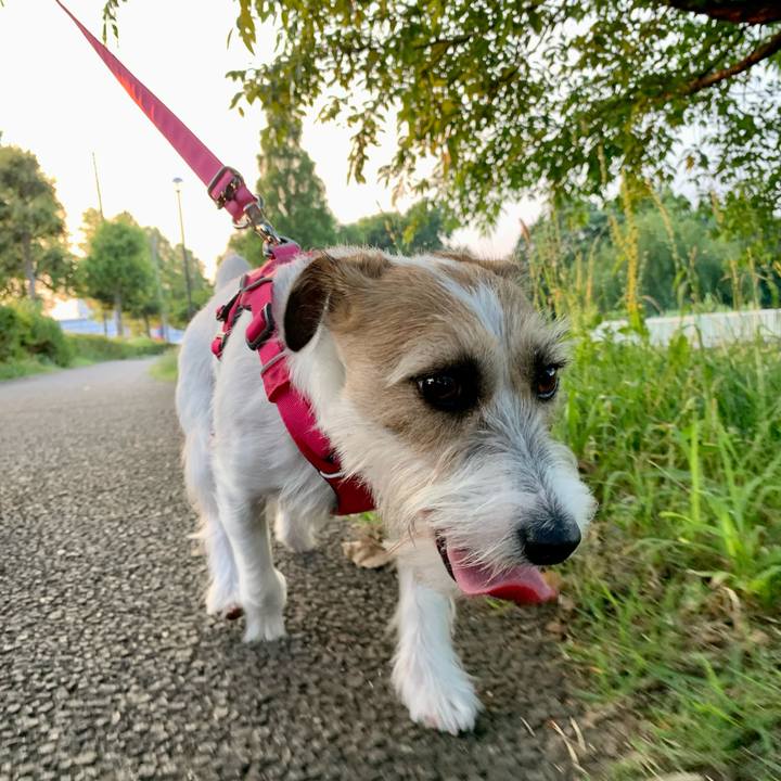 0f14ca99 5fa1 4453 844a 8e804d8eca79 1656677777879