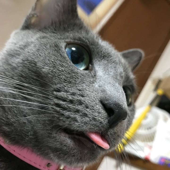 0f150400 f439 4c60 a4c4 5d63a5f0898f 1514277627507