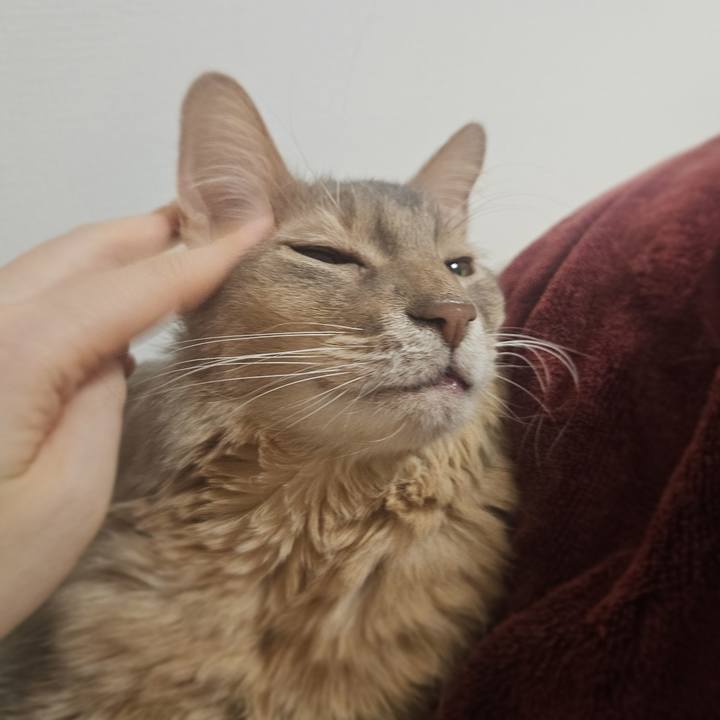 0f152419 ad0e 41fb 99c7 e778d86137b0 1765724324250