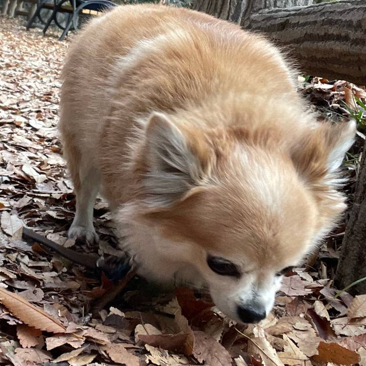 0f1531bd 1f53 4f8b 851b 345cbe907dc4 1764326709979