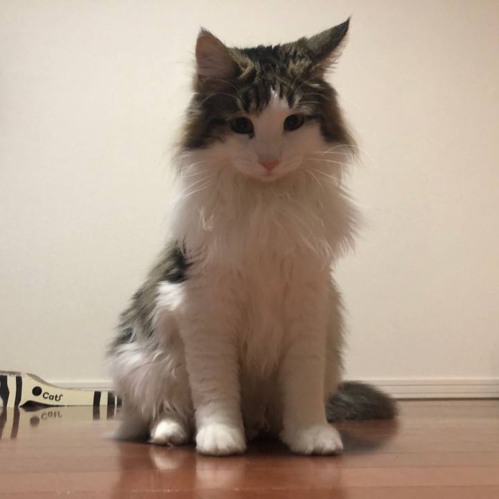 0f153e4b be8d 4aa4 ac19 440e9e282940 1527069151647