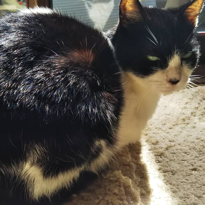 0f15673d 7b9a 477e 9518 8592ba529aeb 1609170343528