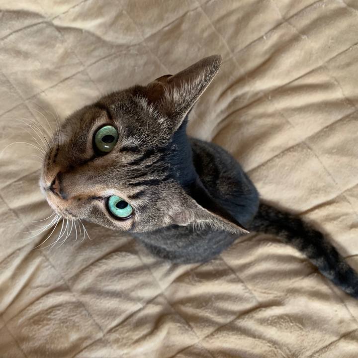 0f15980b c038 4839 b6f7 e8fcc67b7b66 1544322171472