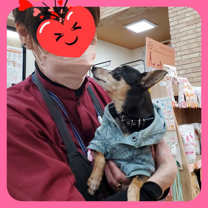 0f15b78c 3af3 4b41 a8cd 5b299cabb1b1 1745625070201