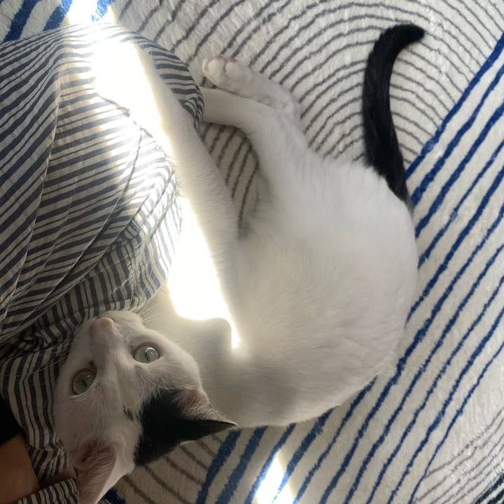 0f15d652 6108 4812 b359 01e47143165d 1753664199085