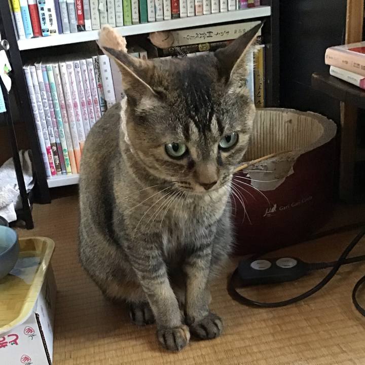 0f15ddb3 54da 4567 8027 35578baf6846 1656501962149