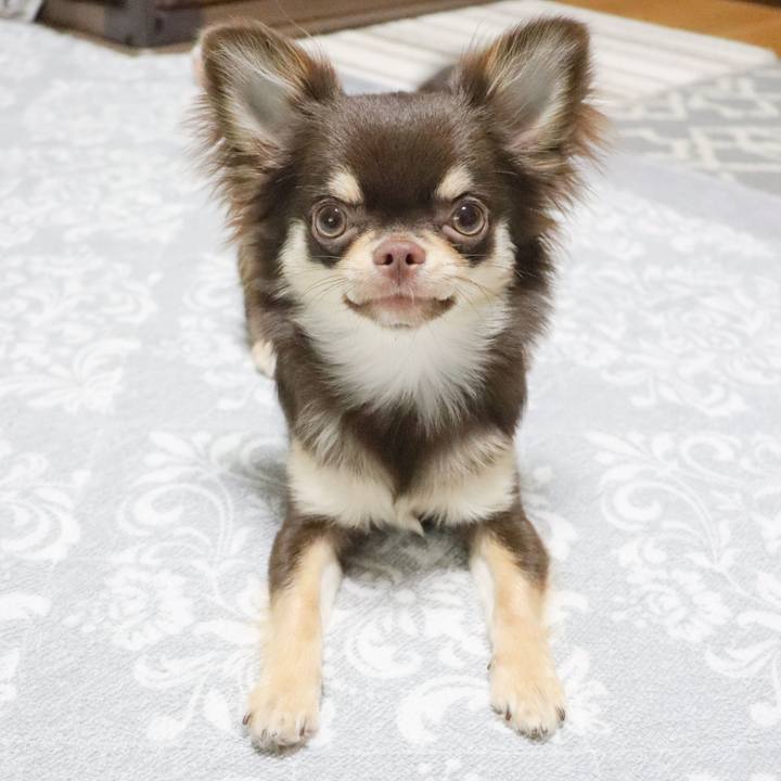 0f15ec6f 672a 49e3 8583 c2e624748e2d 1752449834328