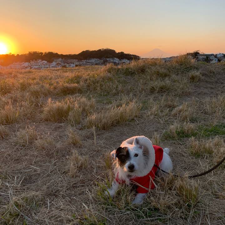 0f161e52 0c73 4023 b758 428da8fd525d 1671176405810