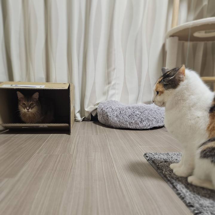 0f162c69 1baa 4575 b19e 92284501942d 1769220302975