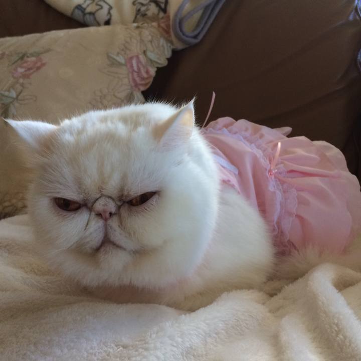 0f162edc b6c1 4be6 91eb 22d2e7f8f797 1512572372462