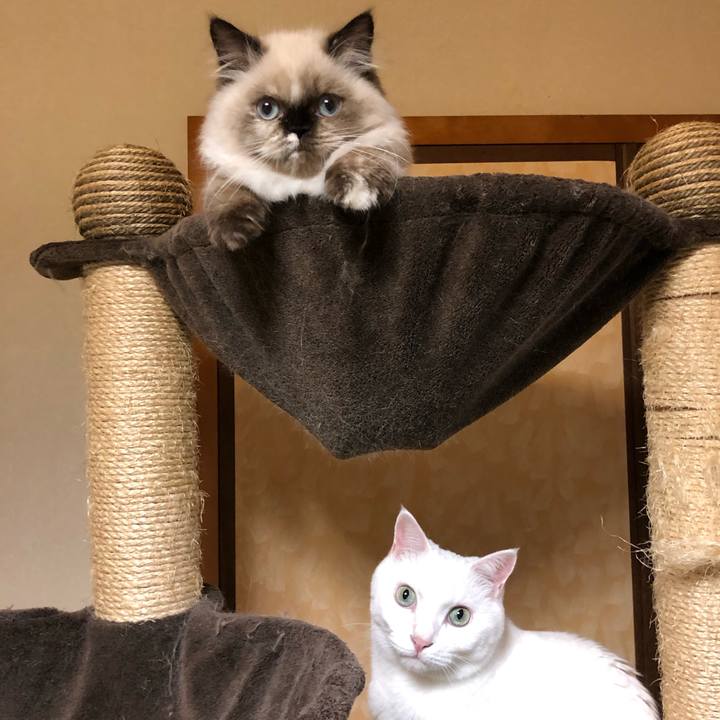 0f165277 6d9d 4dc4 87e7 b766ec0ae881 1633347159491