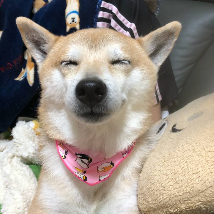 0f17067c 63b6 4377 ac80 1d8f9691f8de 1578142541261