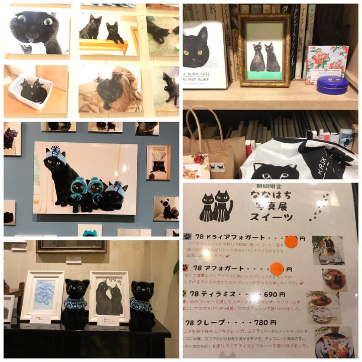 0f17284a daa2 43ba a35f 9e3449d96003 1551525283753