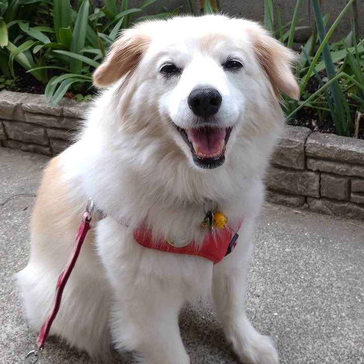 0f174283 33a2 4ecf 94e7 0b63a5d3d819 1652759046595