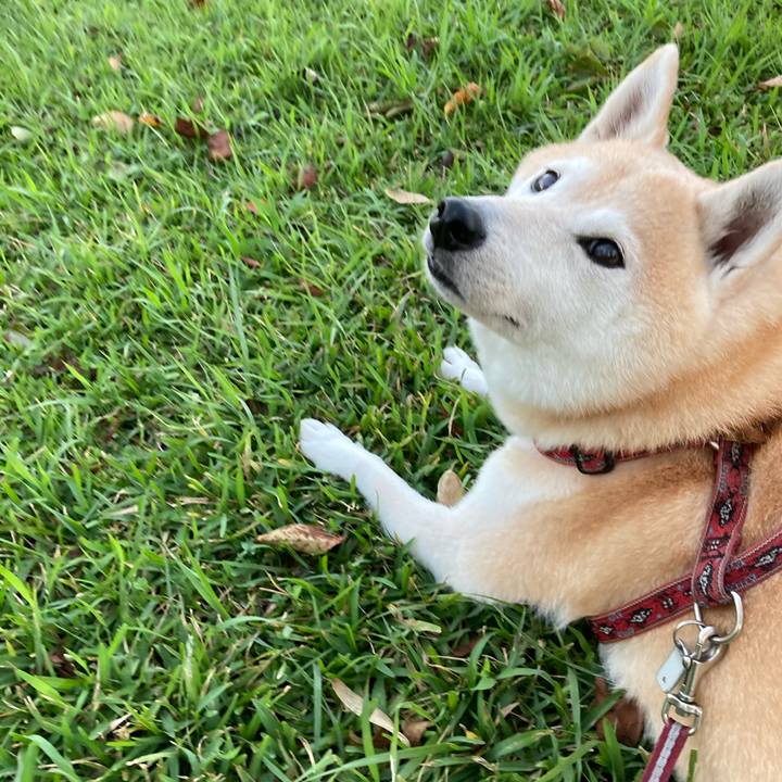 0f17576e fc54 4220 99af d23301b4fbeb 1604070808911