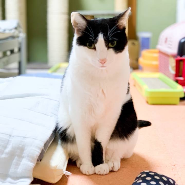 0f17585f 2f1a 476f 8855 e5a043a1be28 1546307213395