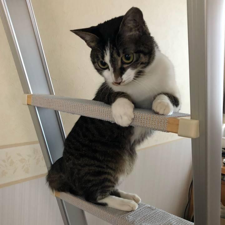 0f175c43 656b 435a bd92 d8a747624f50 1526818088886