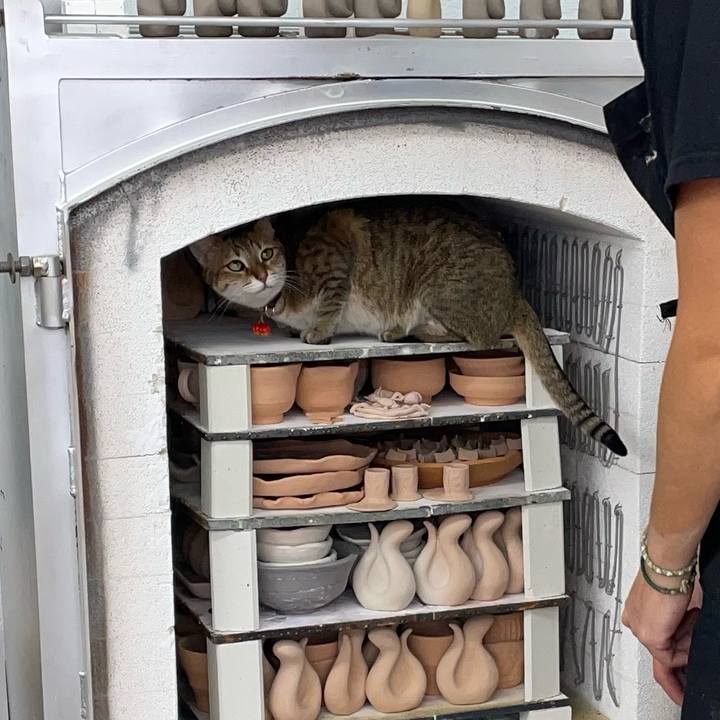 0f17b7b1 3b74 4294 b819 f51bf3236ce8 1731126090979