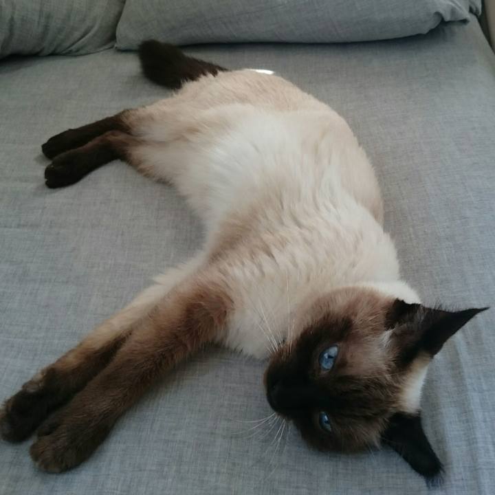 0f17f81d 354e 4272 89ff 6b1e75f2e09f 1537617750473