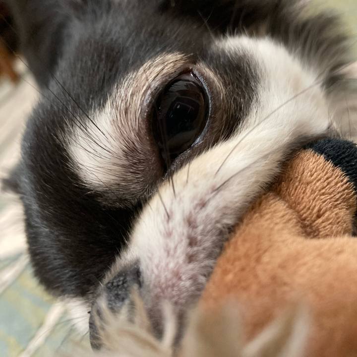 0f1803a6 51d1 43de 9013 d63c8bc371d3 1621691369352