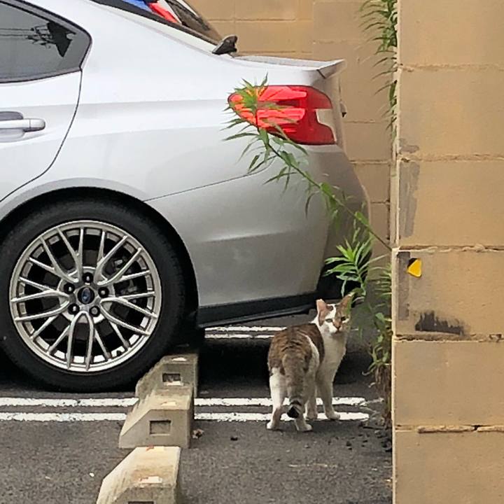 0f18678a 6f61 415a 86e9 3d427a52006b 1529736720217