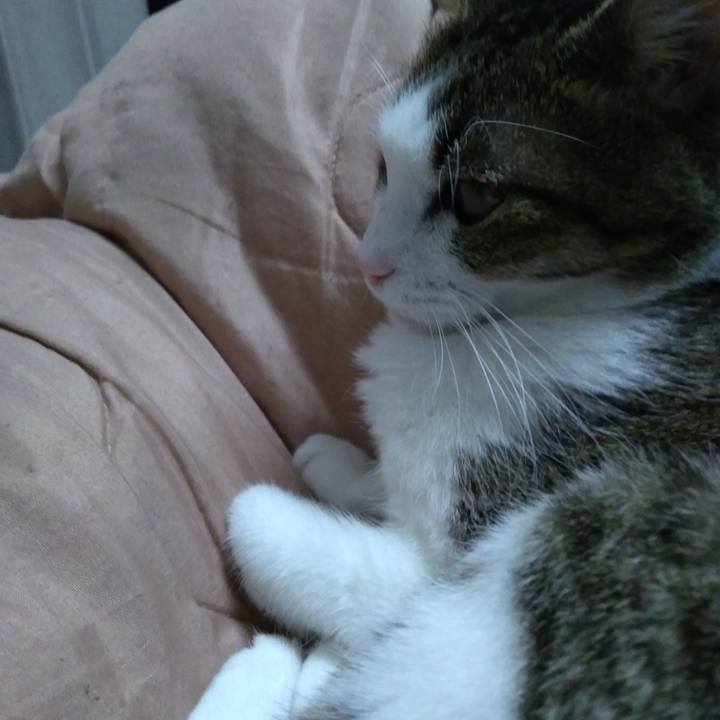 0f1869ab fa21 423a 903c d9f263122728 1520690780897