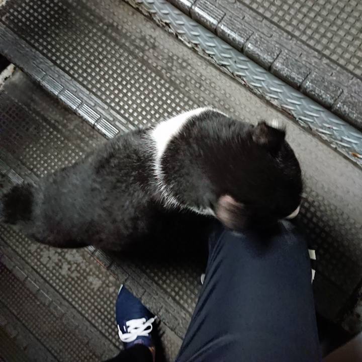 0f1874d9 9e08 4574 9615 2edddb348fa8 1664531577903