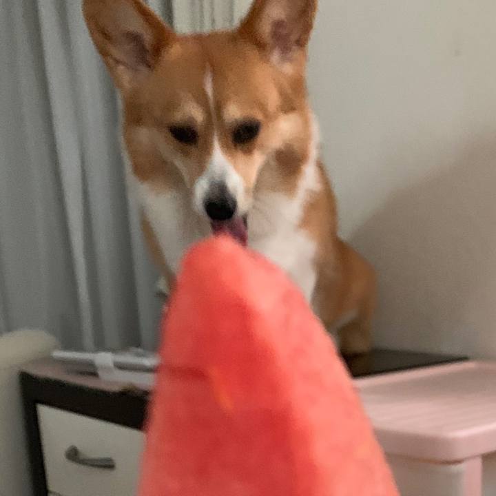 0f187728 efcf 49b3 85f5 55fab7a2b85f 1564722276318