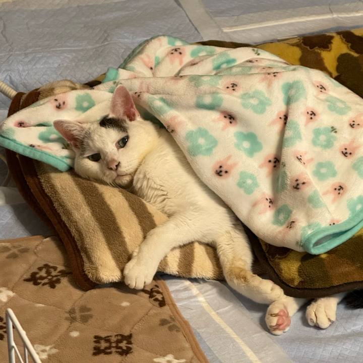 0f18a43f ba7a 44d4 8016 8f4a56bae223 1763039637042