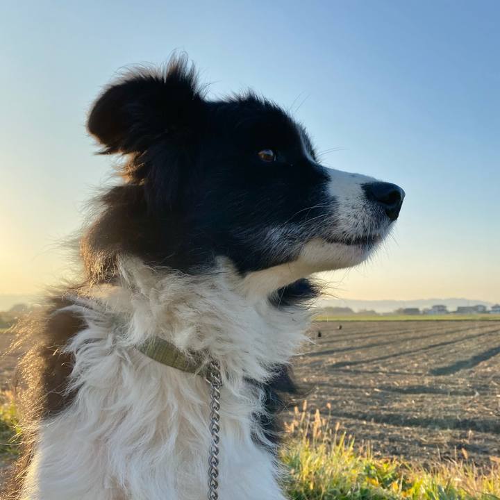 0f18ea2a 497a 412c af49 217142904abf 1607037978712