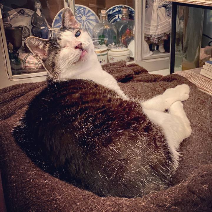 0f1913bb fb86 4abc a246 6b1a87b204a6 1587307109099