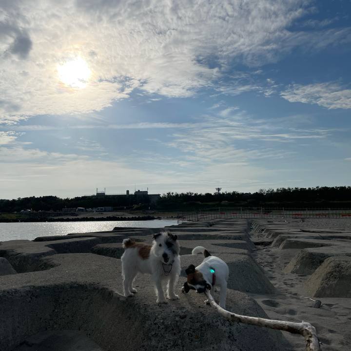 0f191c08 1118 4215 bc0a b92d55799be6 1633391095307